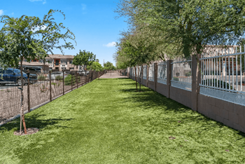 Pet park